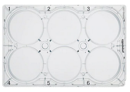 德國艾本德(Eppendorf)Cell Culture Plates,6-Well,無菌無熱原,無RNase和DNase,無人類和細(xì)菌DNA,無細(xì)胞毒素,TC處理,5mL,100塊