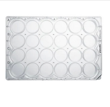 德國艾本德(Eppendorf)Cell Culture Plates,24-Well,無菌無熱原,無RNase和DNase,無人類和細(xì)菌DNA,無細(xì)胞毒素,TC處理,1mL,60塊,獨立包裝