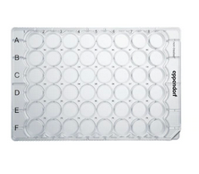 德國(guó)艾本德(Eppendorf)Cell Culture Plates,48-Well,無菌無熱原,無RNase和DNase,無人類和細(xì)菌DNA,無細(xì)胞毒素,未處理,0.5mL,60塊,獨(dú)立包裝