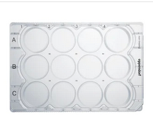 德國(guó)艾本德(Eppendorf)Cell Culture Plates,12-Well,無(wú)菌無(wú)熱原,無(wú)RNase和DNase,無(wú)人類(lèi)和細(xì)菌DNA,無(wú)細(xì)胞毒素,TC處理,2mL,60塊,獨(dú)立包裝