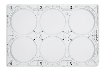 德國(guó)艾本德Eppendorf CCCadvanced? FN1,6-well,帶蓋,平底,無菌,無熱原,無RNase和DNase,無人類和細(xì)菌 DNA,無細(xì)胞毒素